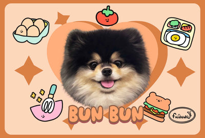 Customized Bowl Mat Easy Clean Fast Dry