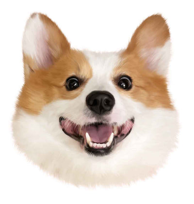 Artificial Hand-draw Portraits