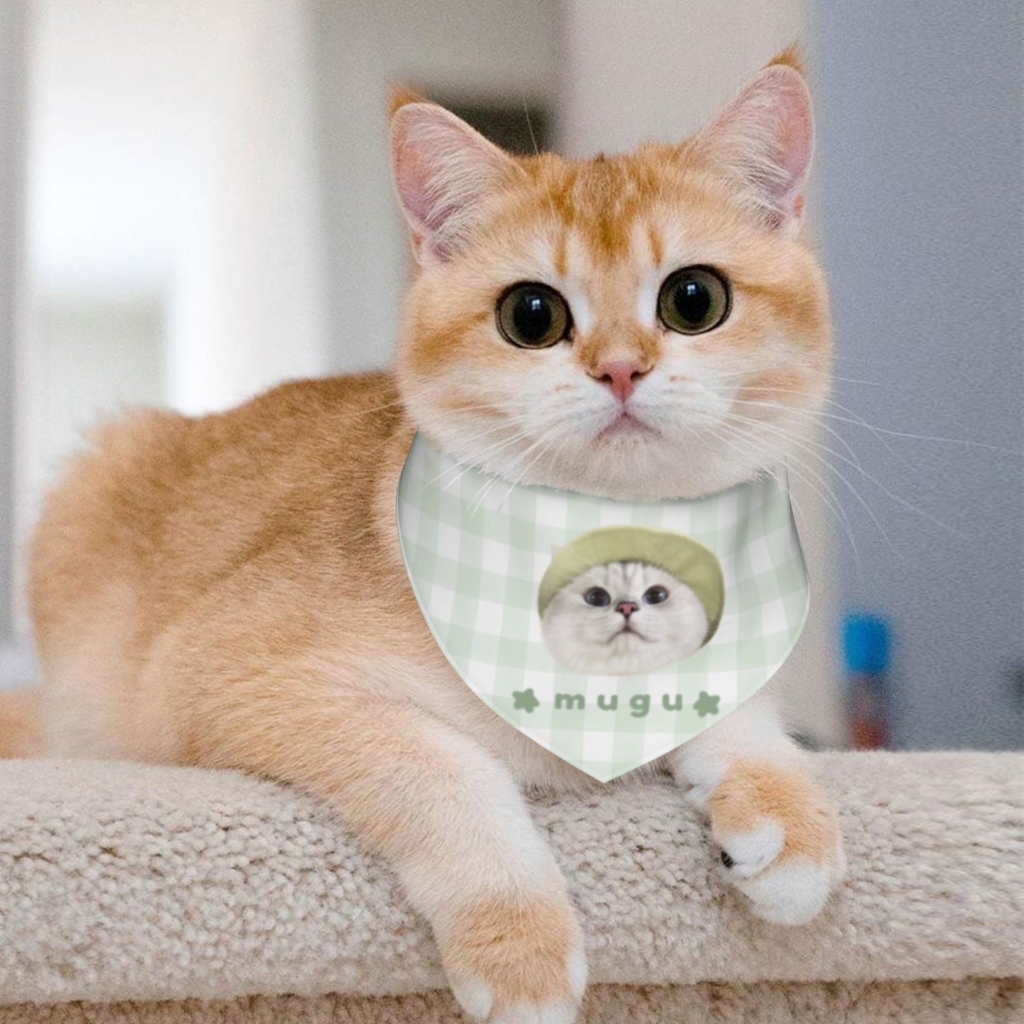 100% Cottom Customized Pet Bandana Bibs