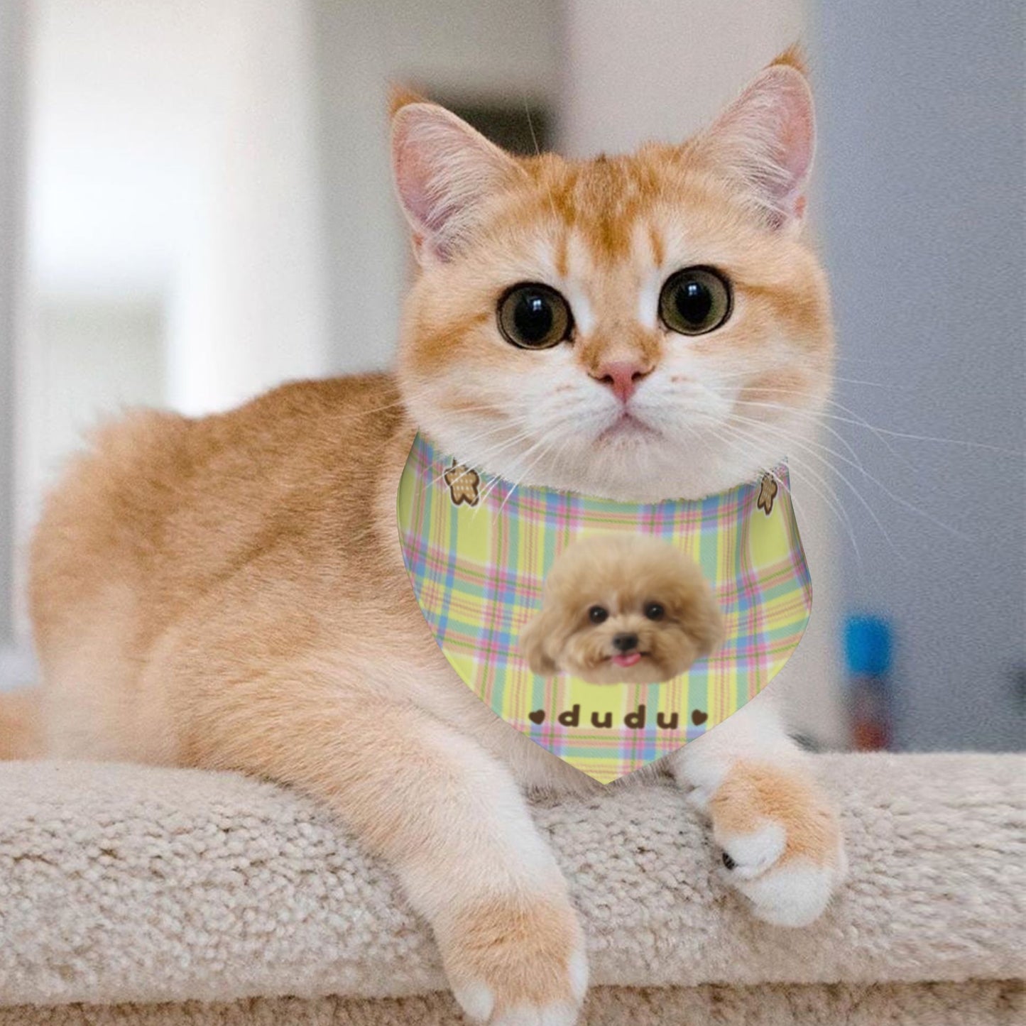 100% Cottom Customized Pet Bandana Bibs