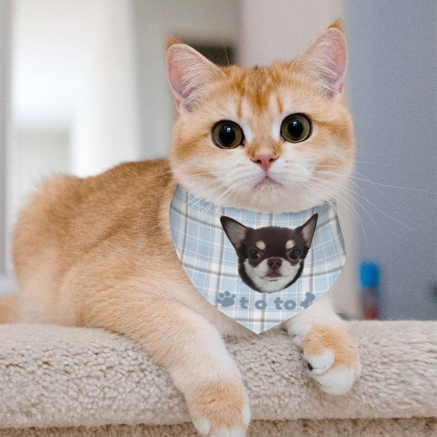 100% Cottom Customized Pet Bandana Bibs