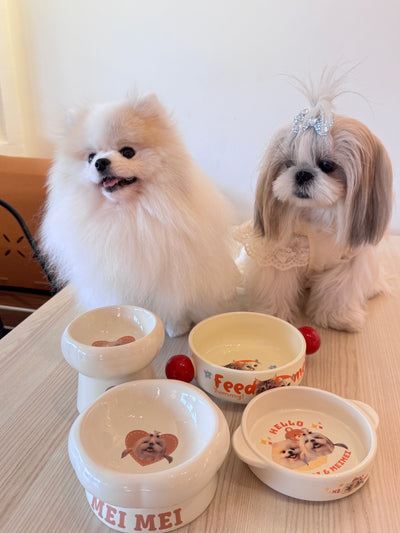 Customized Pet Face Ceramic Low-Foot Bowl