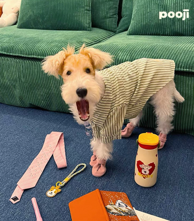 Pooji - Botol Air Keluli Tahan Karat Berpenebat Chubby Boleh Suai Dengan Pemegang 600ml