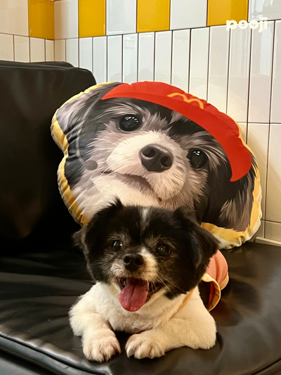 Pooji - Custom Pet Portrait Pillow