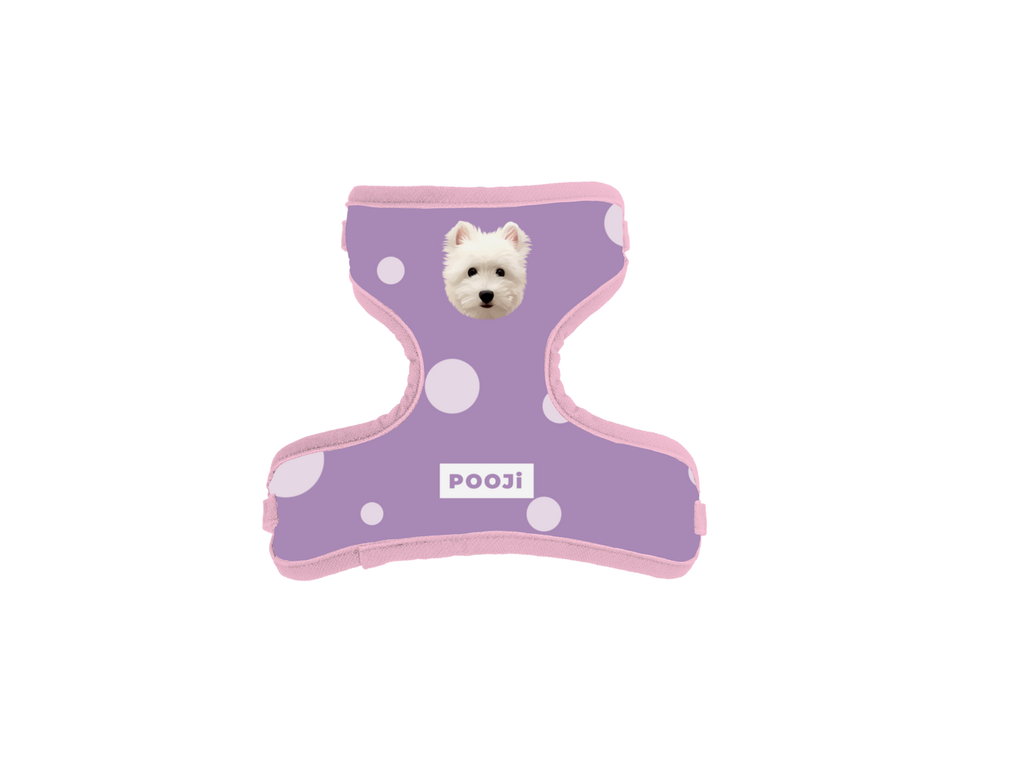 Pooji - Pet Customize Harnesses Pet Collar Set