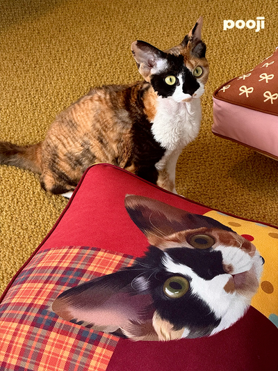 Pooji - Custom Pet Cushion Home Decor