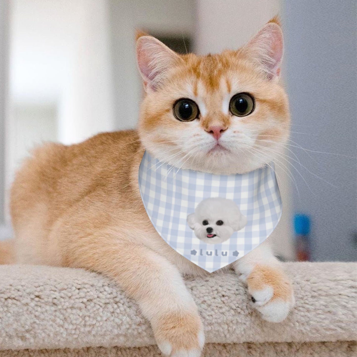 100% Cottom Customized Pet Bandana Bibs