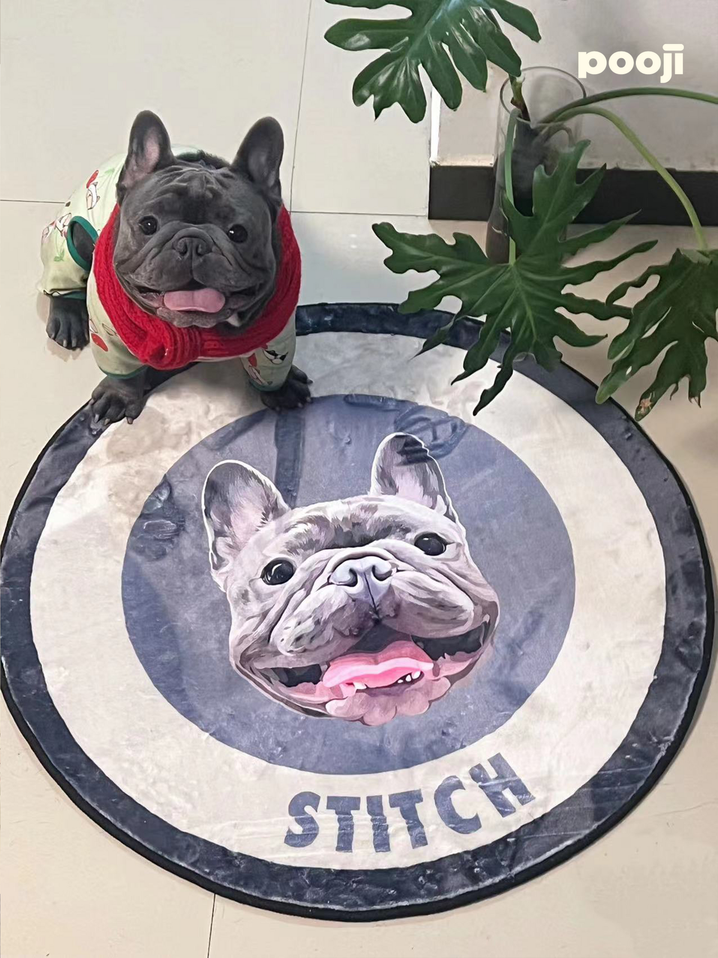 Pooji - Custom Pet Portrait Rug - Round