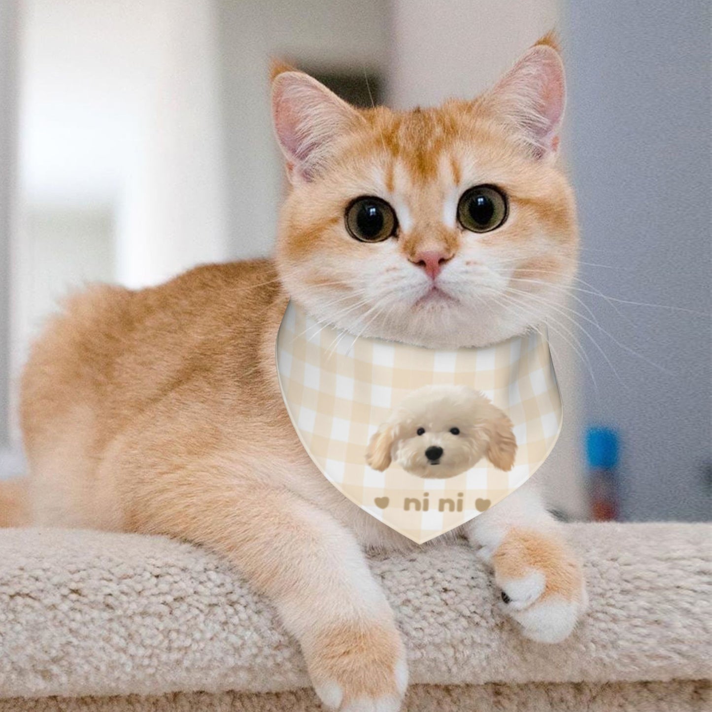 100% Cottom Customized Pet Bandana Bibs