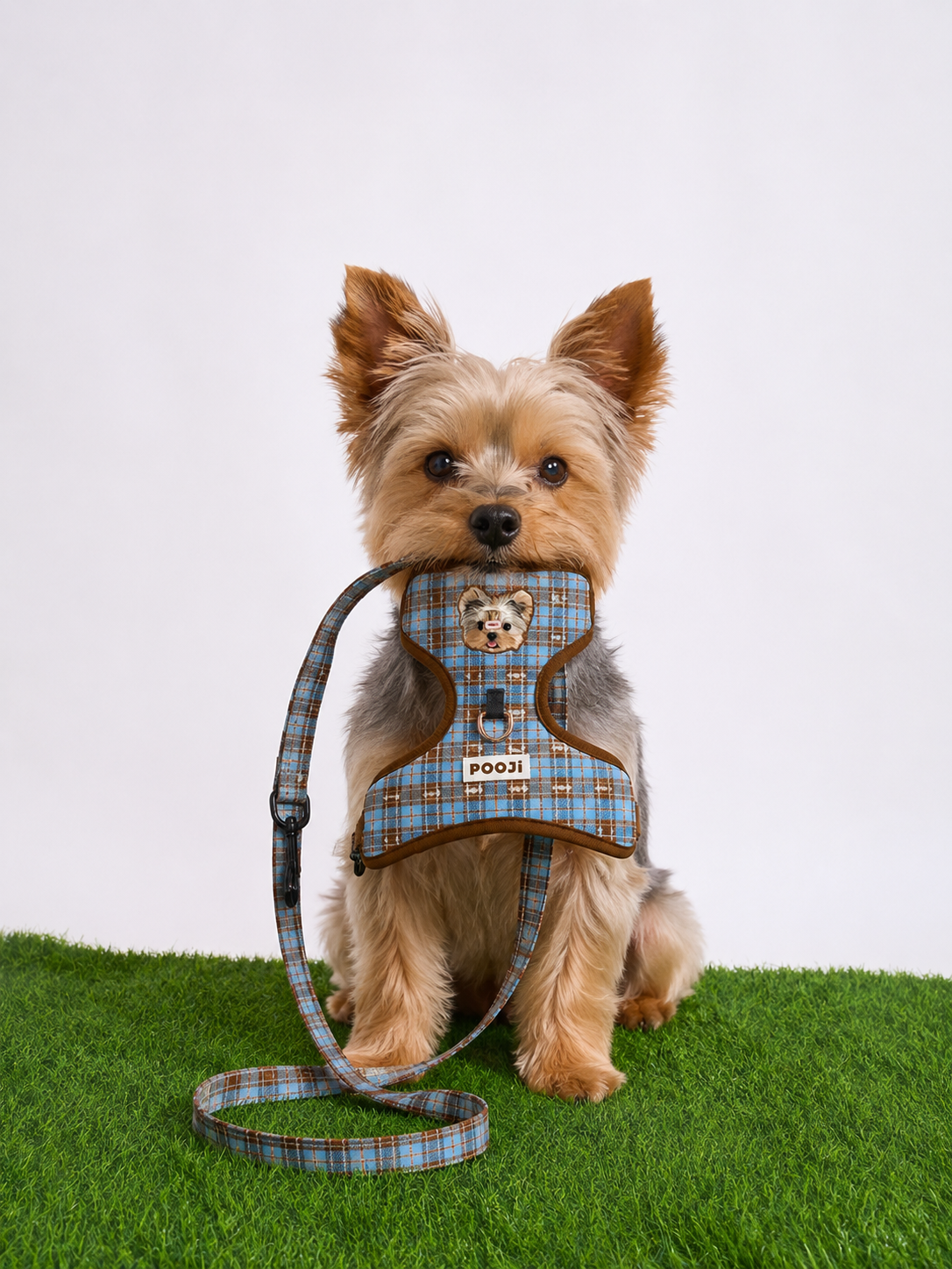 Pooji - Pet Customize Harnesses Pet Collar Set