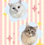 Customized Pet Portrait Blanket