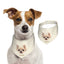 100% Cottom Customized Pet Bandana Bibs