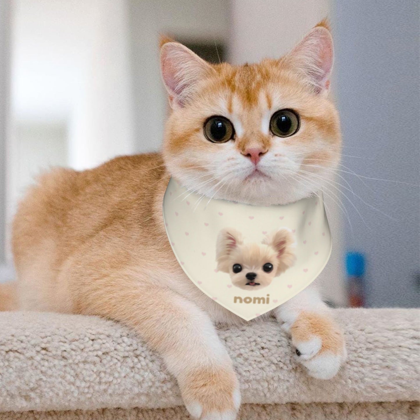 100% Cottom Customized Pet Bandana Bibs