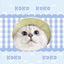 Customized Pet Portrait Blanket