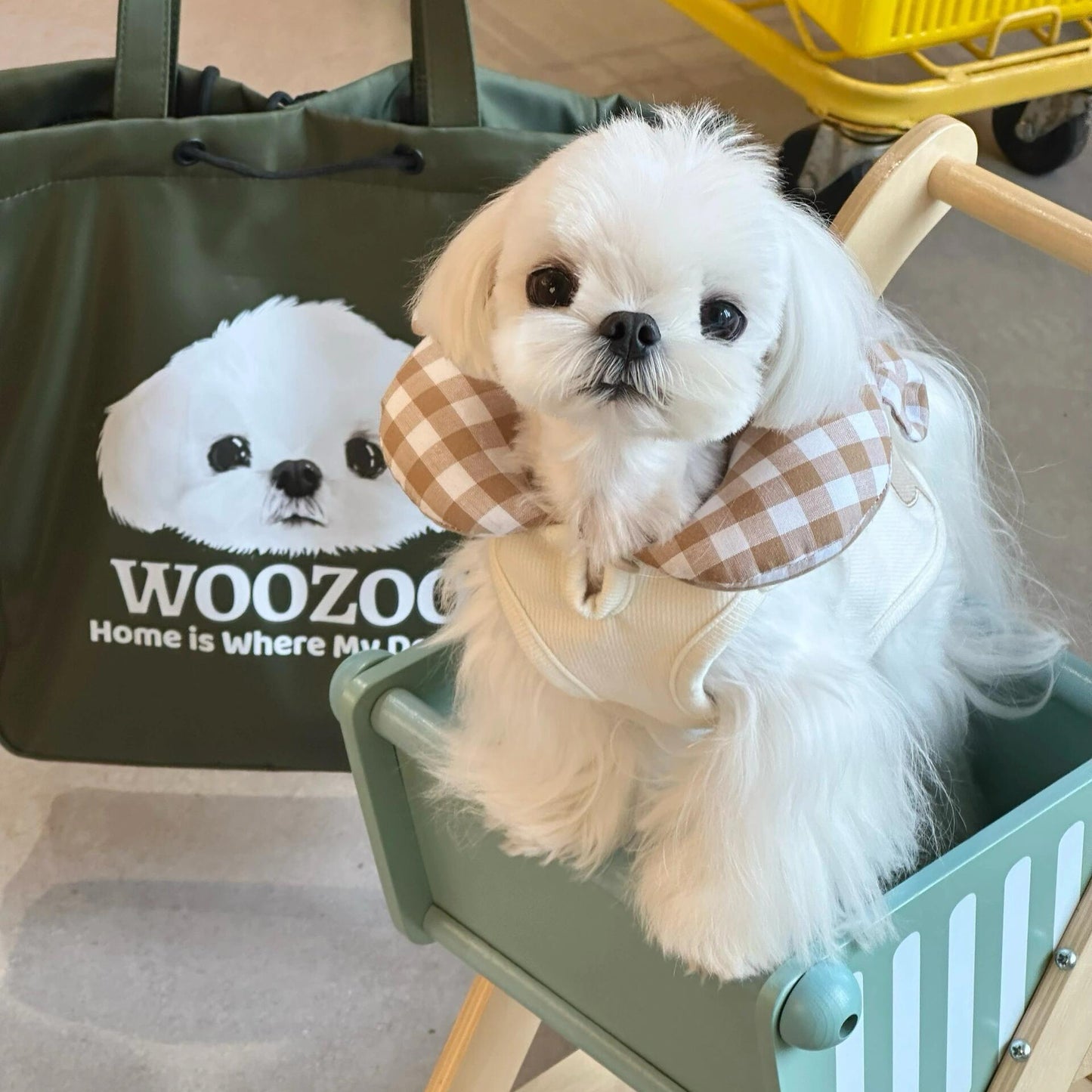 Customized Nylon Pet Tote Bag