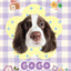 Customized Pet Portrait Blanket