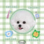 Customized Pet Portrait Blanket
