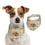 100% Cottom Customized Pet Bandana Bibs