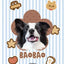 Customized Pet Portrait Blanket