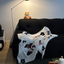 Pooji - Custom Pet Printed Blanket