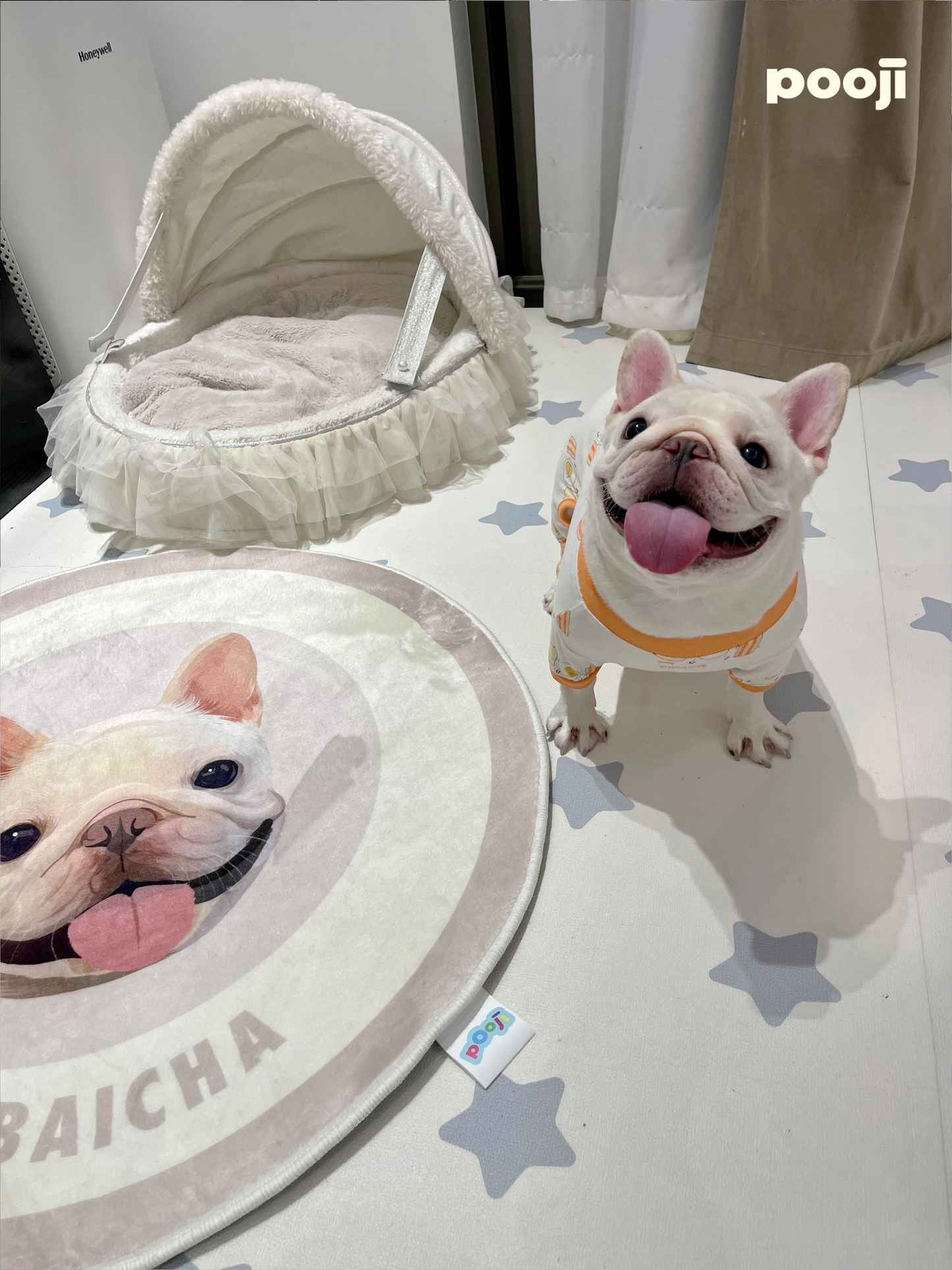 Pooji - Custom Pet Portrait Rug - Round