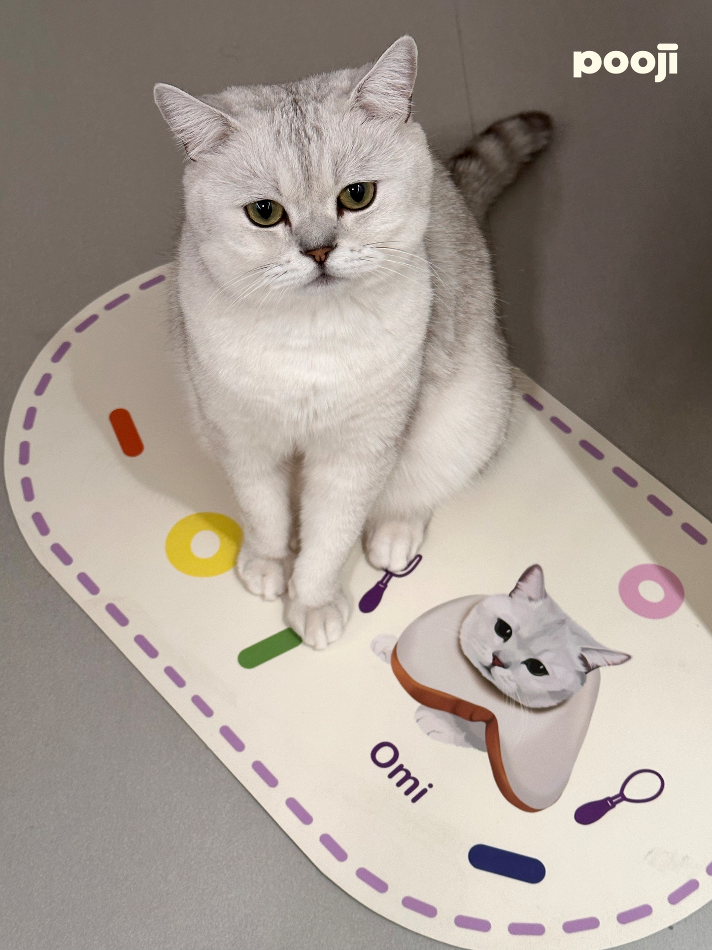 Pooji - Custom Pet Placemat Table Mat