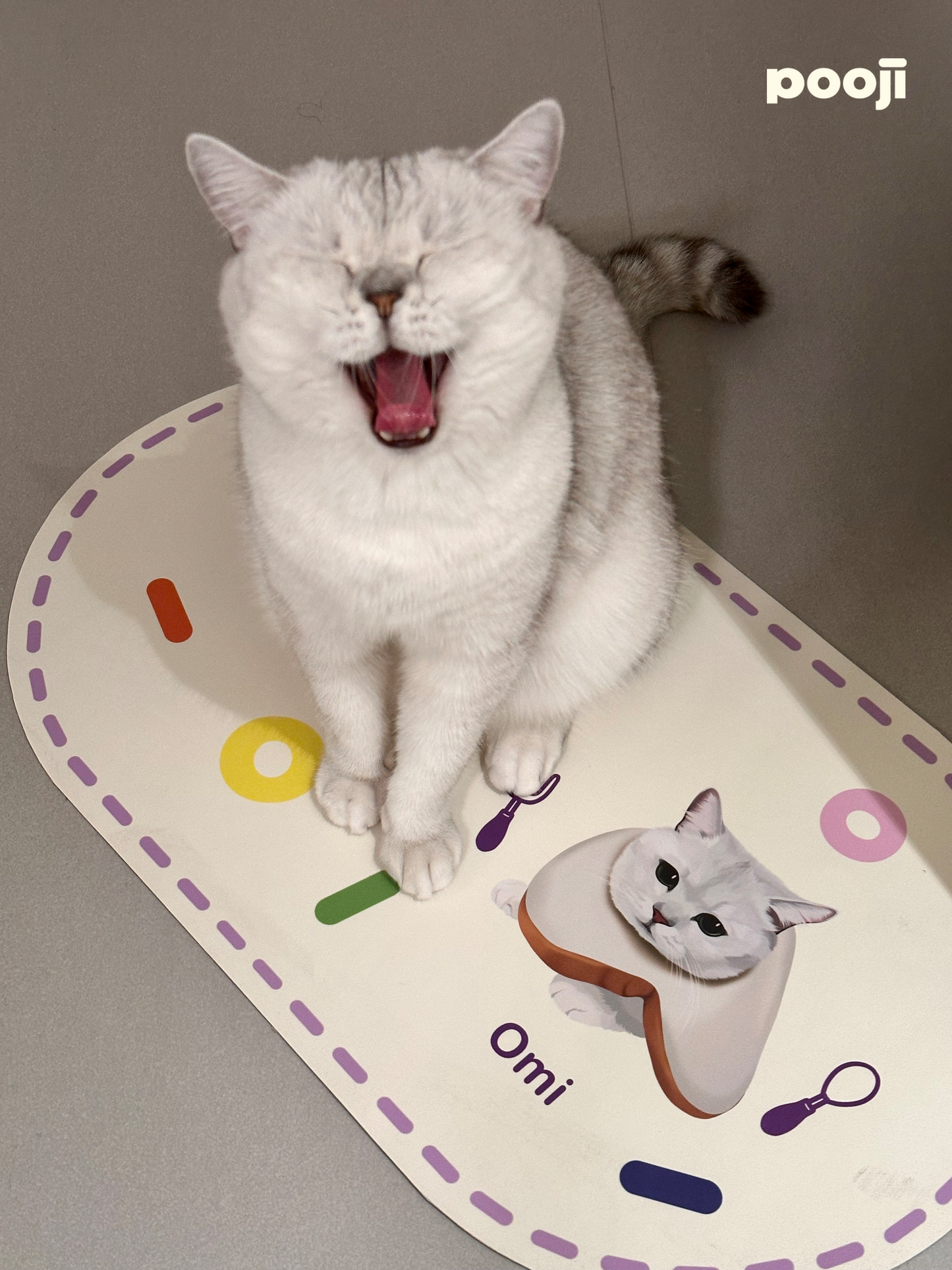 Pooji - Custom Pet Placemat Table Mat