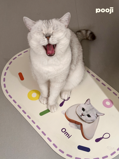 Pooji - Custom Pet Placemat Table Mat
