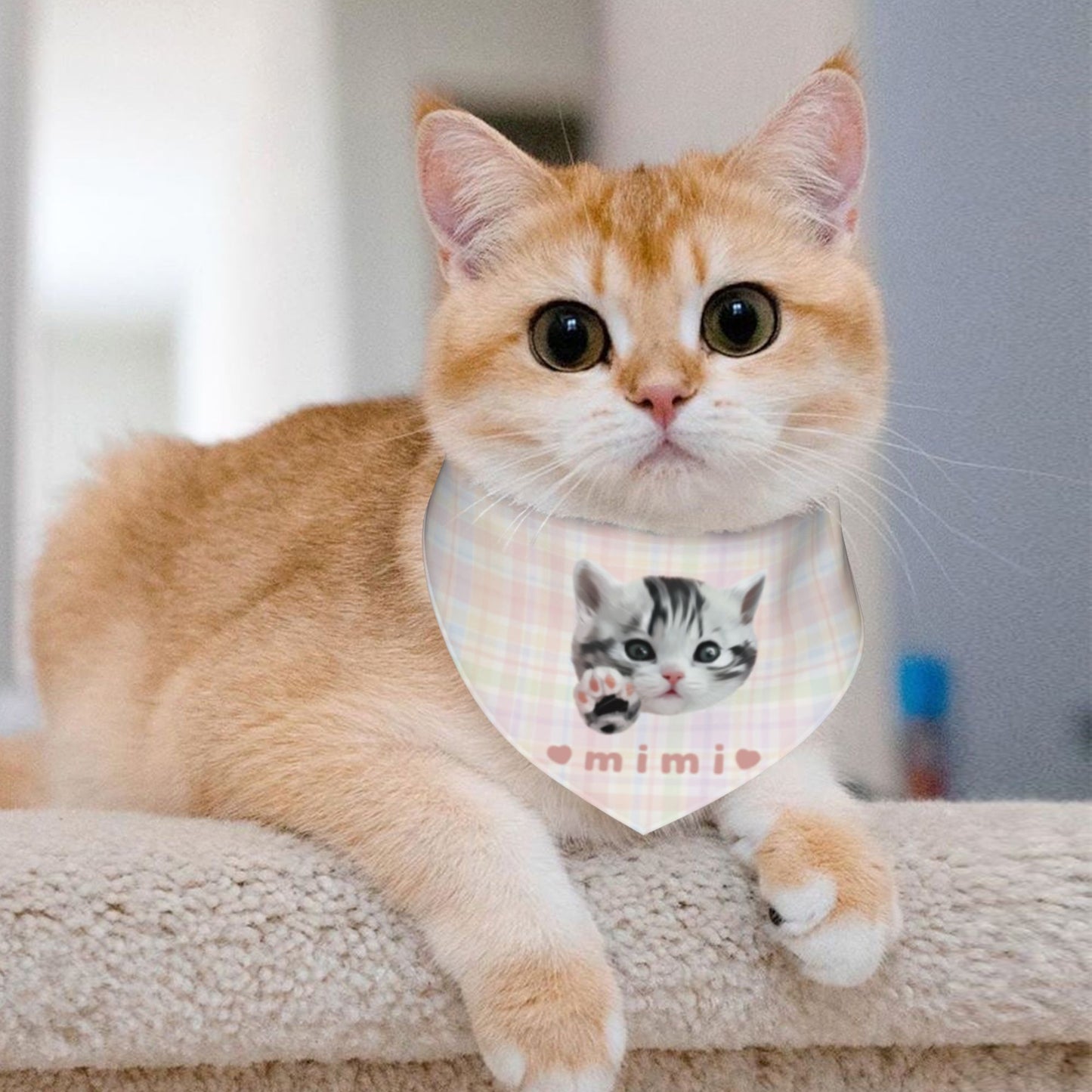 100% Cottom Customized Pet Bandana Bibs