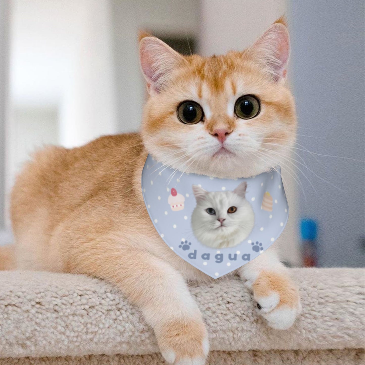 100% Cottom Customized Pet Bandana Bibs