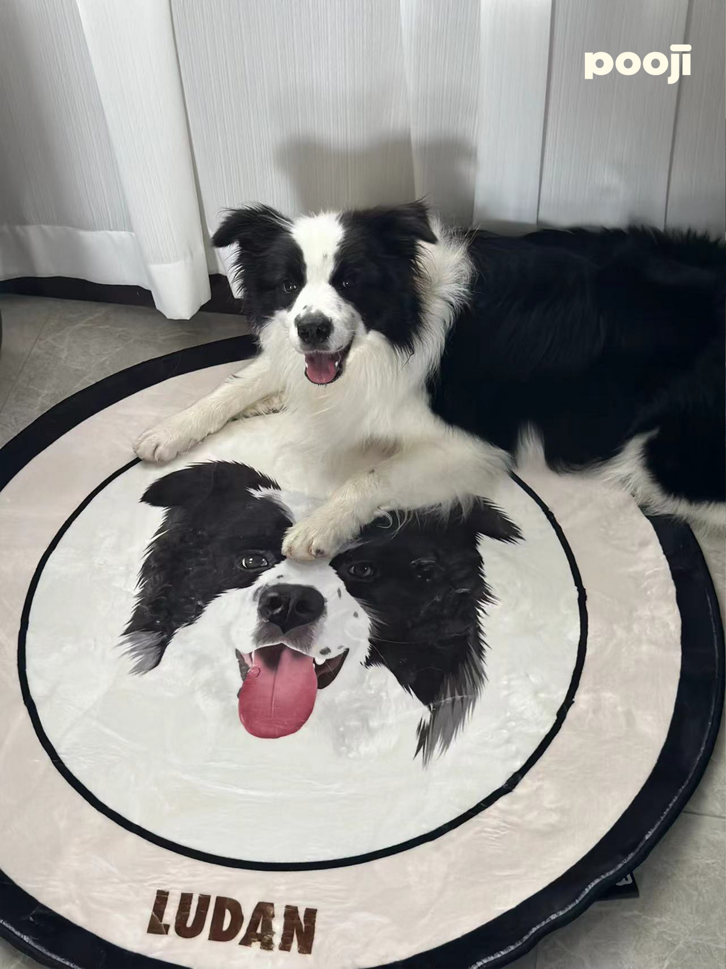 Pooji - Custom Pet Portrait Rug - Round