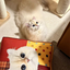 Pooji - Custom Pet Cushion Home Decor