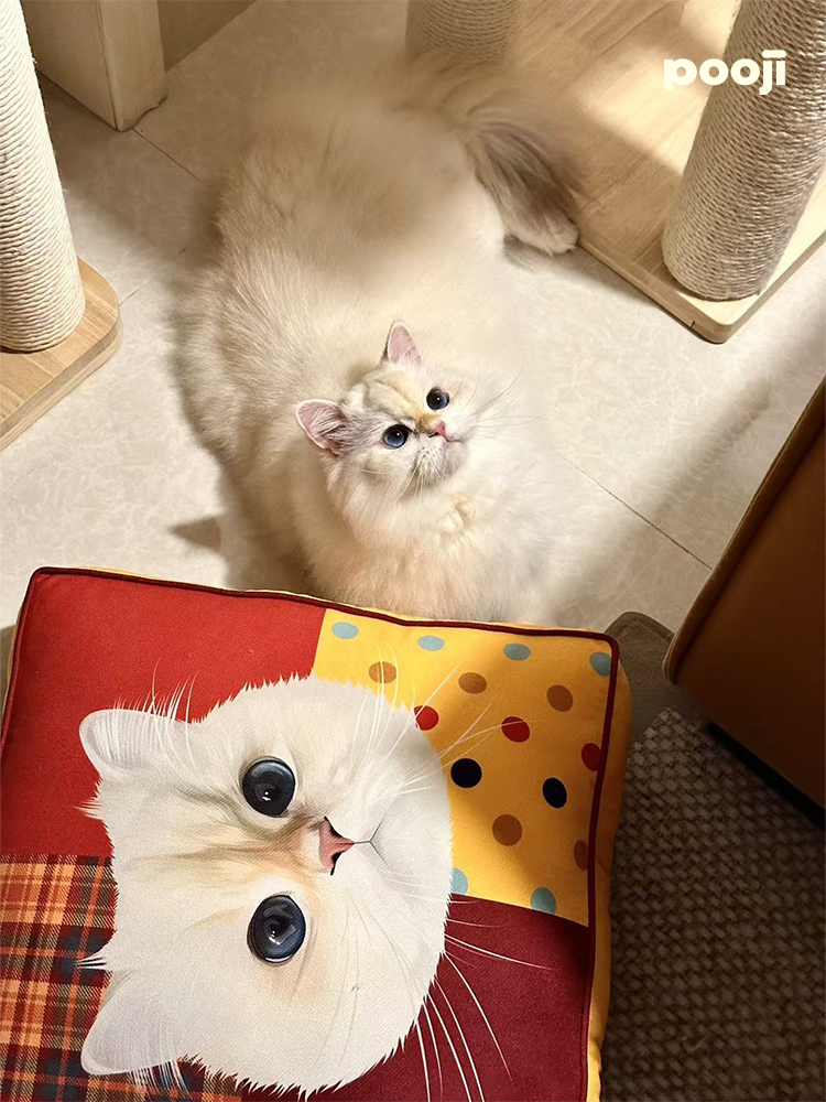 Pooji - Custom Pet Cushion Home Decor