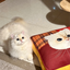 Pooji - Custom Pet Cushion Home Decor