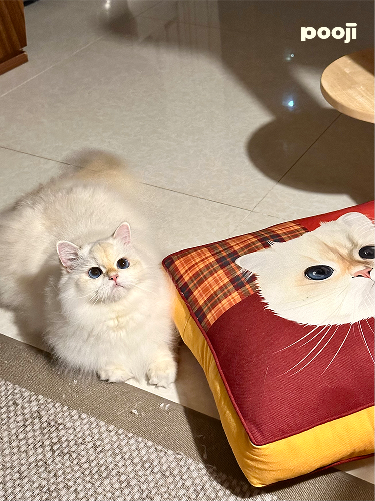 Pooji - Custom Pet Cushion Home Decor