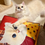 Pooji - Custom Pet Cushion Home Decor