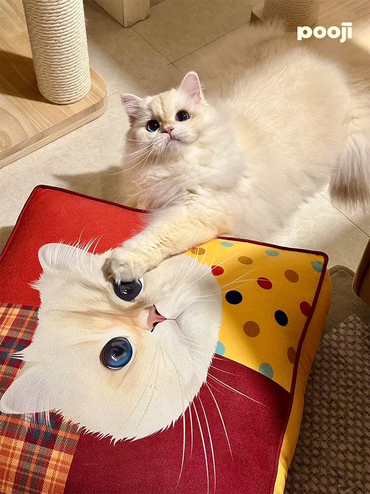 Pooji - Custom Pet Cushion Home Decor