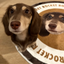 Pooji - Custom Pet Portrait Rug - Round