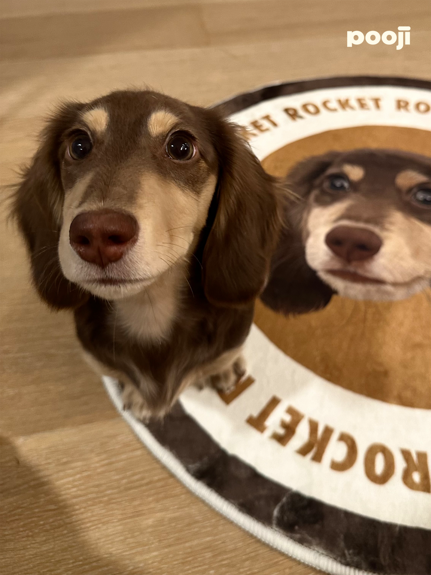 Pooji - Custom Pet Portrait Rug - Round