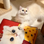 Pooji - Custom Pet Cushion Home Decor