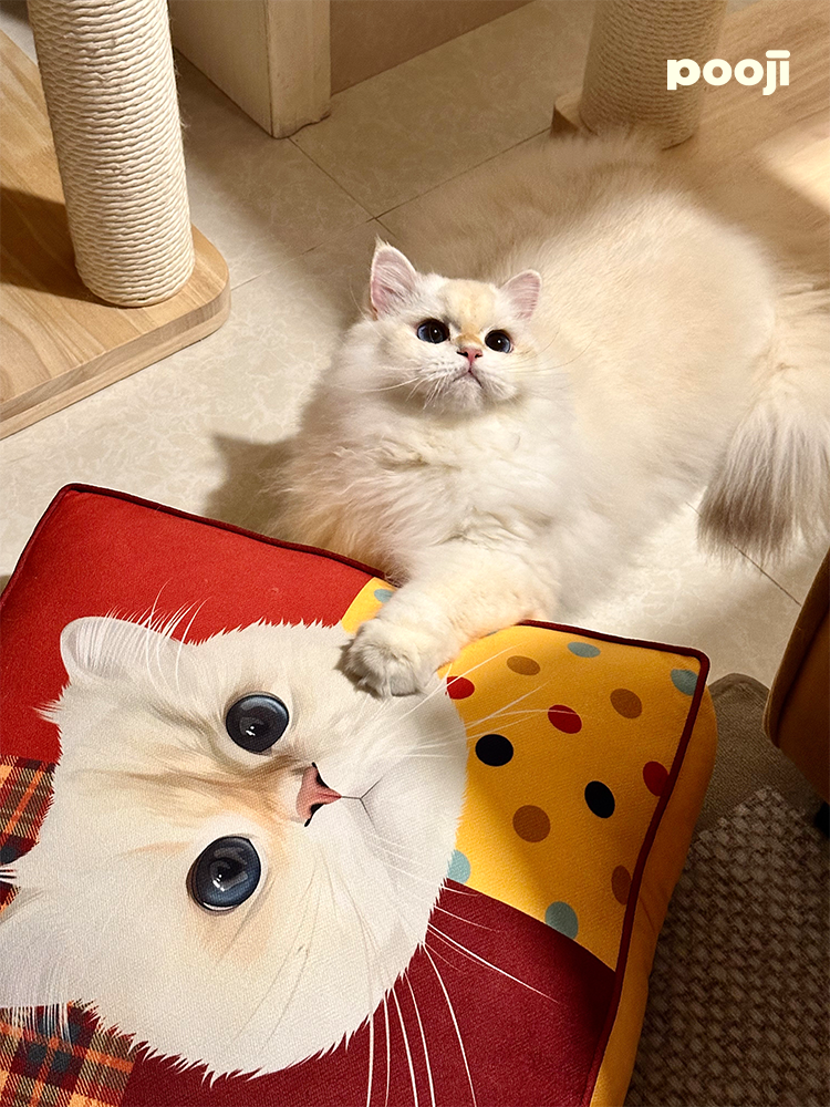 Pooji - Custom Pet Cushion Home Decor