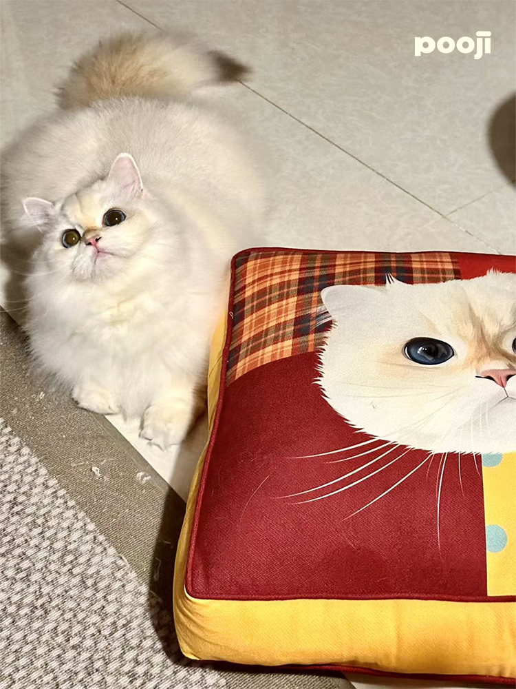 Pooji - Custom Pet Cushion Home Decor