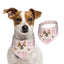 100% Cottom Customized Pet Bandana Bibs