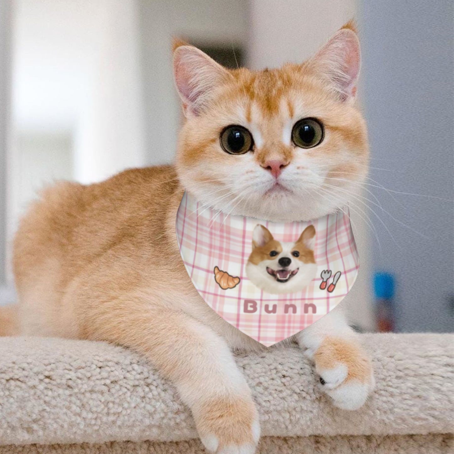 100% Cottom Customized Pet Bandana Bibs