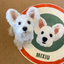 Pooji - Custom Pet Portrait Rug - Round