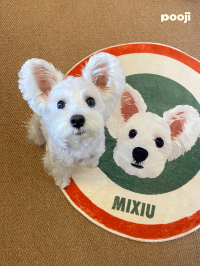 Pooji - Custom Pet Portrait Rug - Round