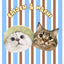 Customized Pet Portrait Blanket