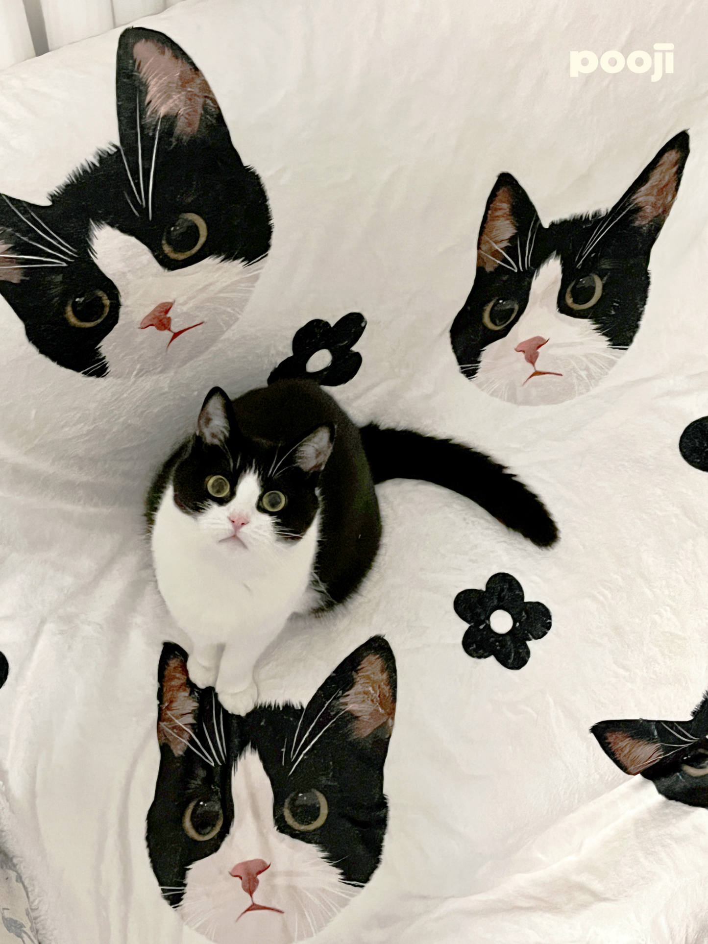Pooji - Custom Pet Printed Blanket