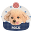 Pooji - Custom Pet Car Deca