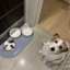 Pooji - Custom Pet Placemat Table Mat